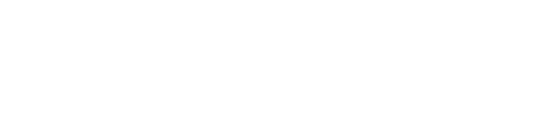 Bil-13